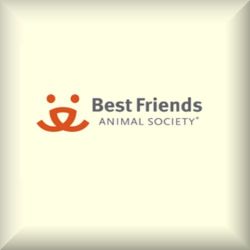 best friends8