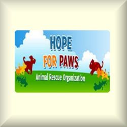 hope for paws