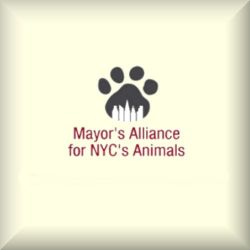 mayors4